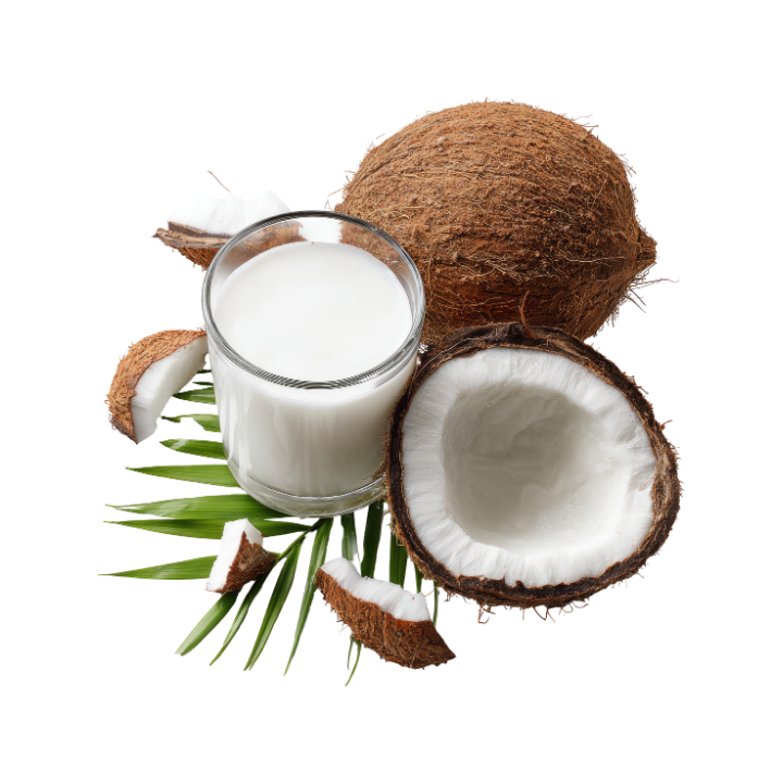 Coconut Milk