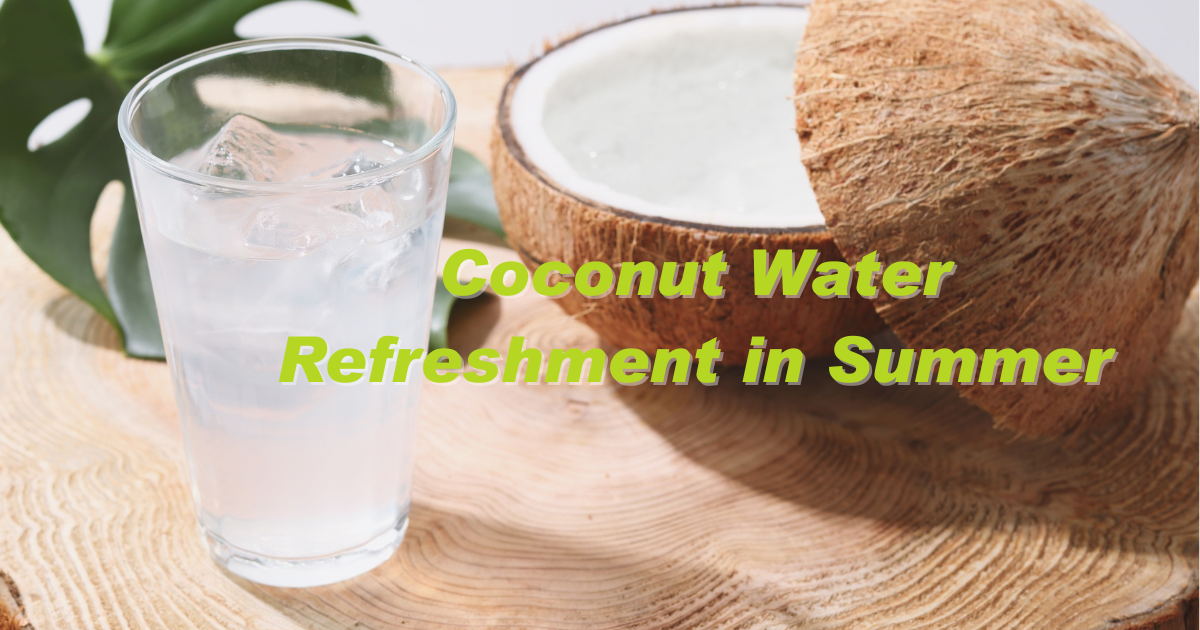 Coconut Water Refreshment in Summer